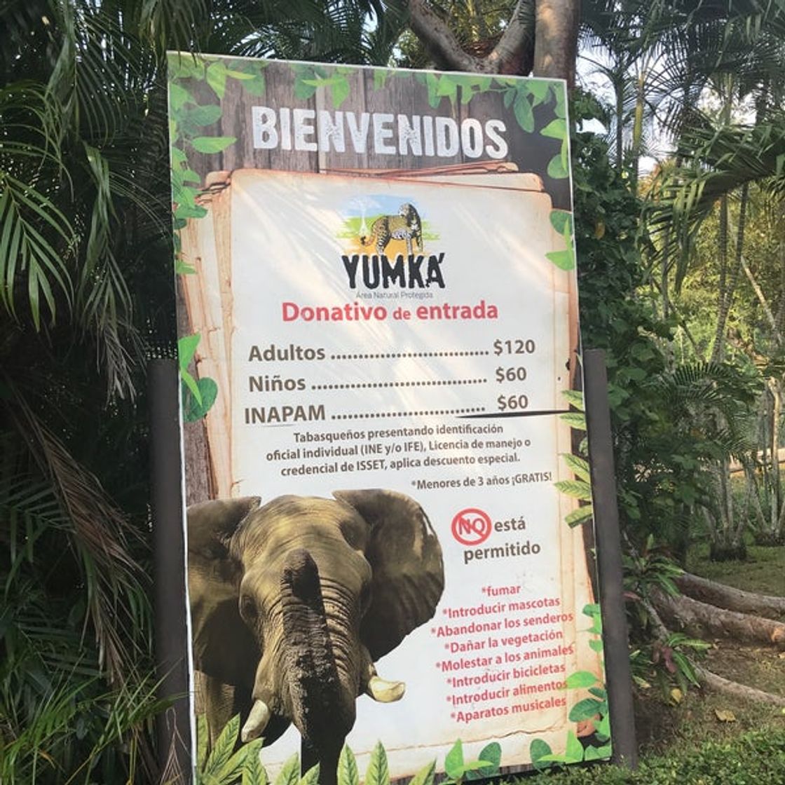 Lugar Yumka - Area Recreativa