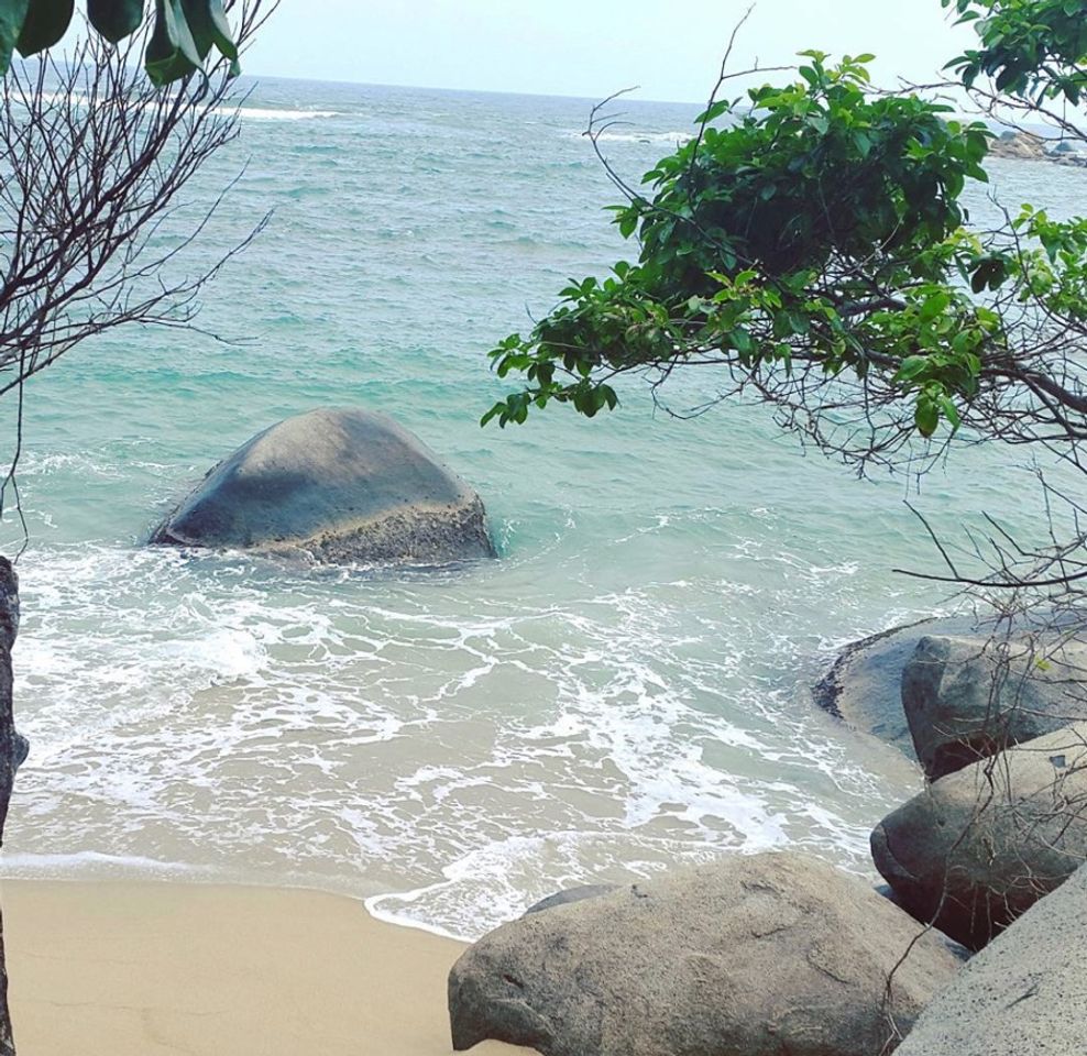 Place Tayrona National Park