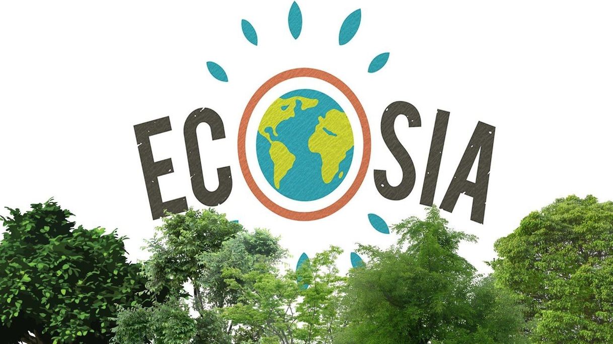 Moda Ecosia 🌎