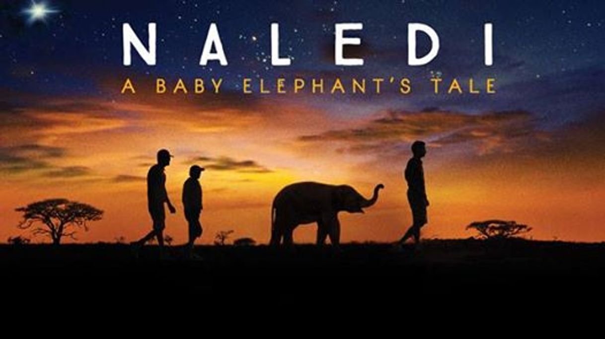 Serie Naledi (a baby elephant's tale) 