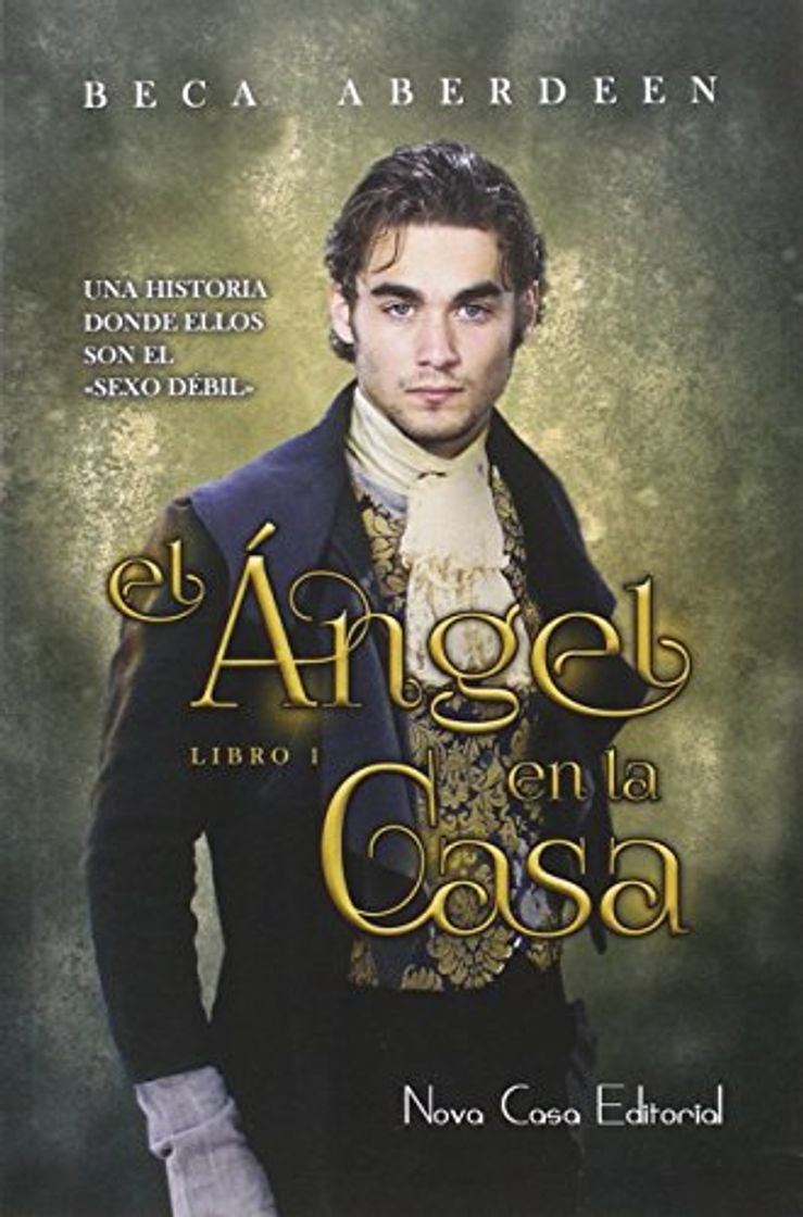 Libro El ángel en la casa