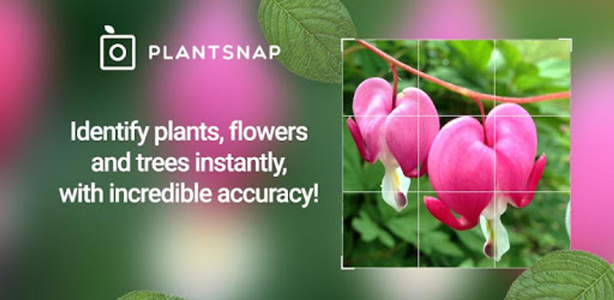 Moda PlantSnap - Identify Plants, Flowers, Trees & More - Apps on Google ...