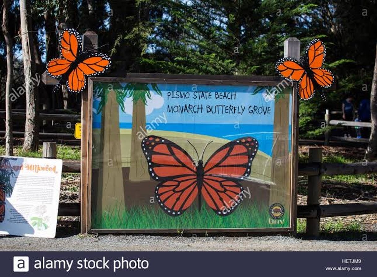 Places Monarch Butterfly Grove