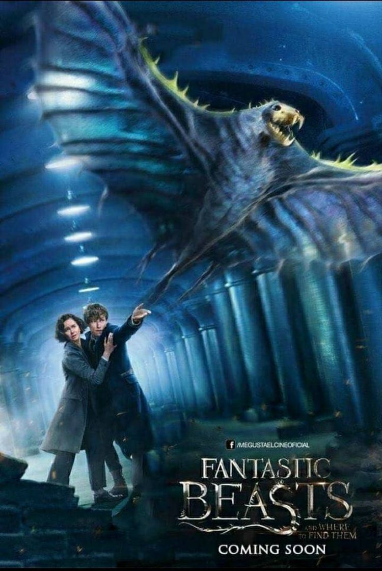 Movie Animales fantásticos: Los secretos de Dumbledore