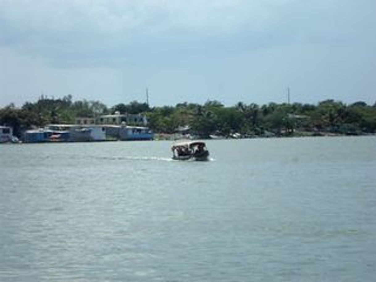 Lugar Laguna Del Carpintero Tampico