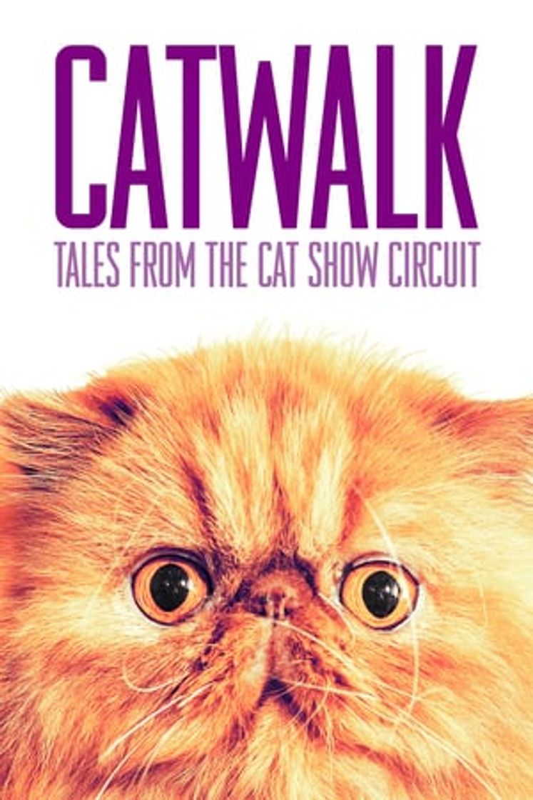Movie Catwalk: Tales from the Catshow Circuit