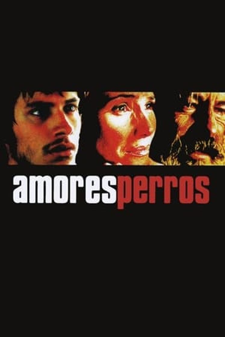 Película Amores perros