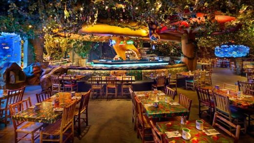 Rainforest Cafe