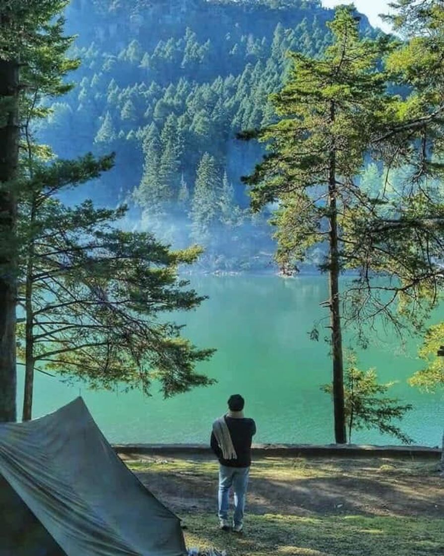 Lugar Parque Nacional El Chico