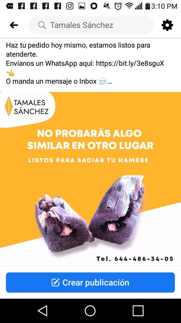 Moda Tamales gourmet