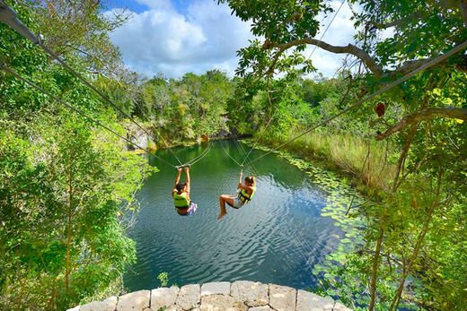 Xenotes Oasis Maya