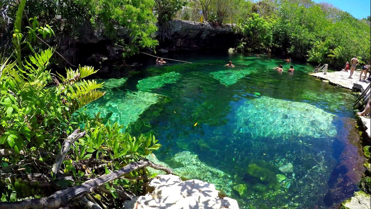 Lugar Cenote Cristalino