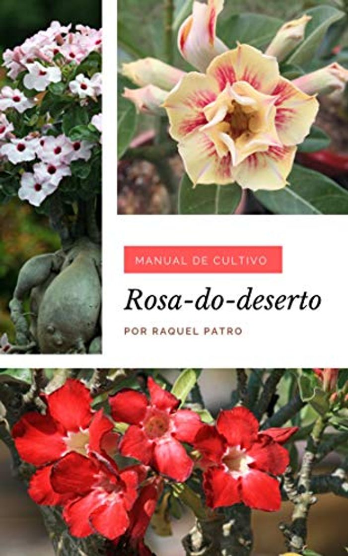 Libros Manual de Cultivo: Rosa-do-deserto