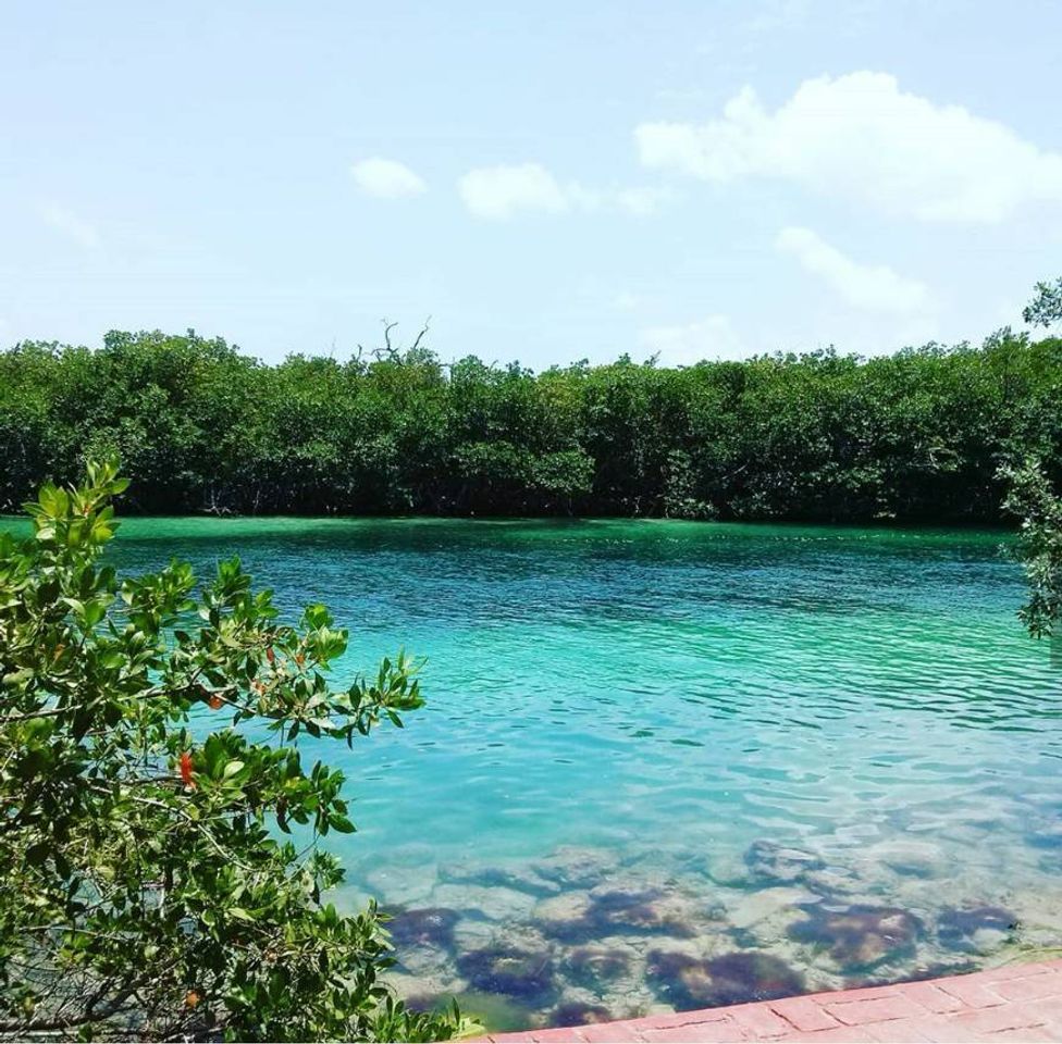 Place Laguna Nichupté