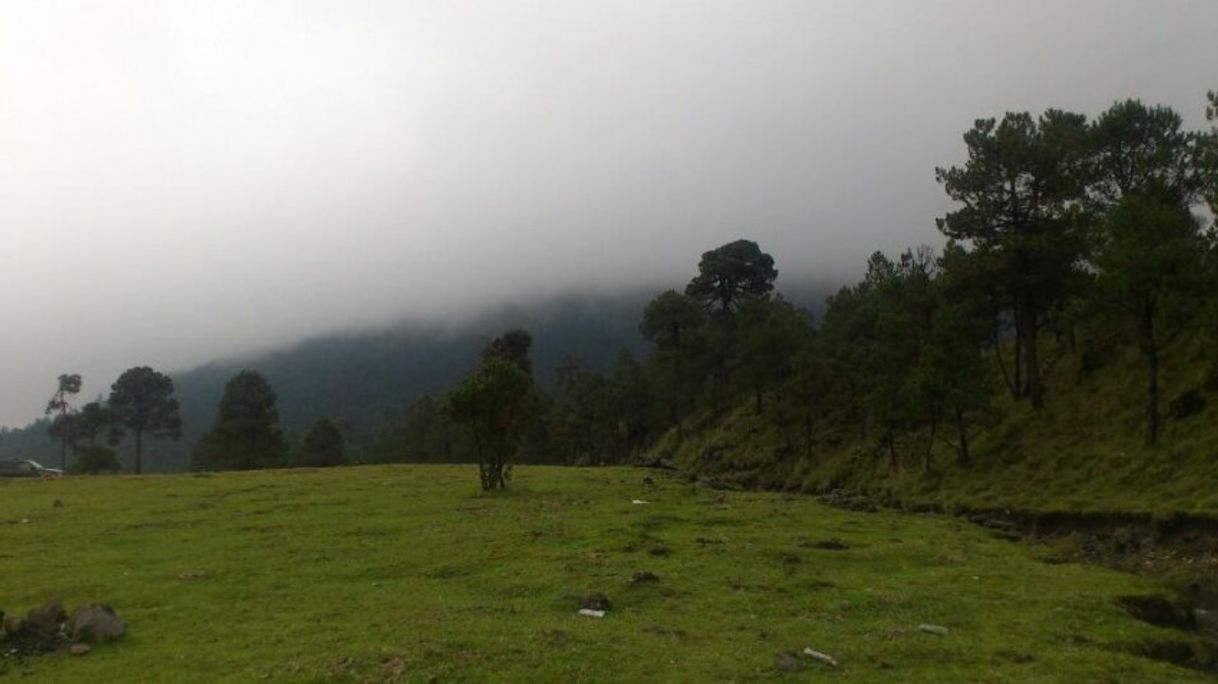 Lugar Ajusco