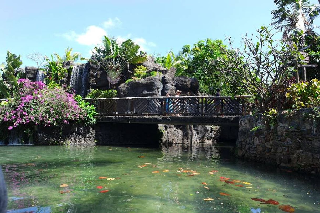 Place Hawaii