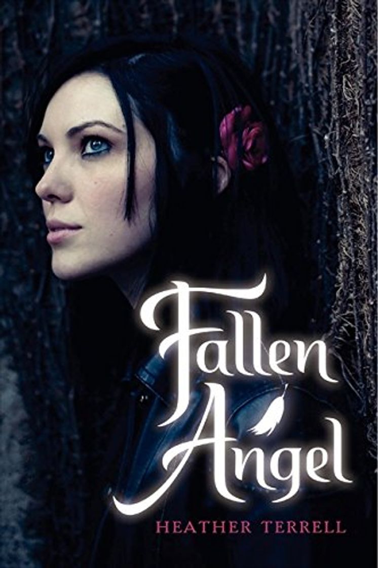 Book Fallen Angel