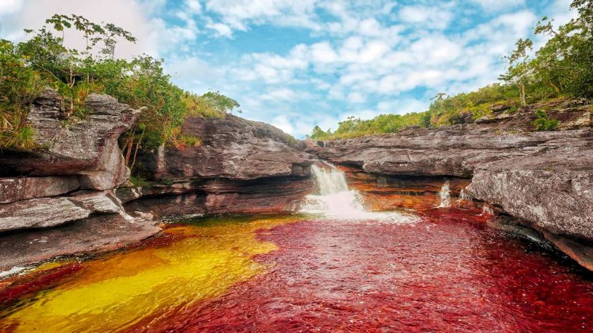 Place Caño Cristales