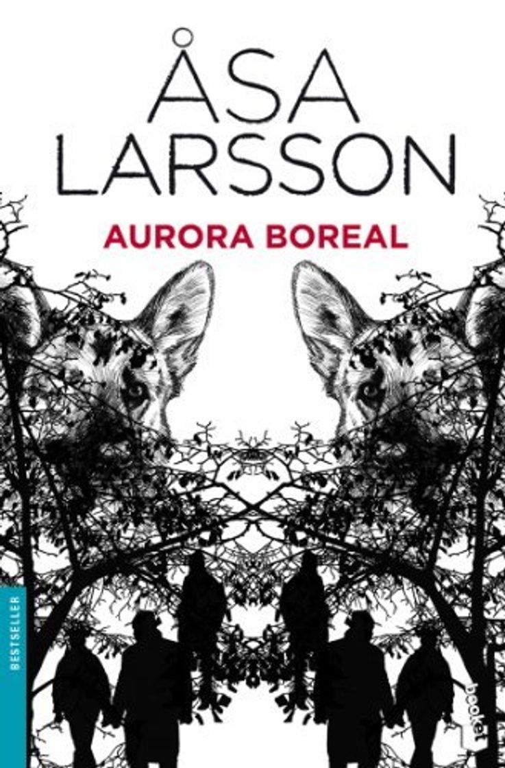 Book Aurora boreal