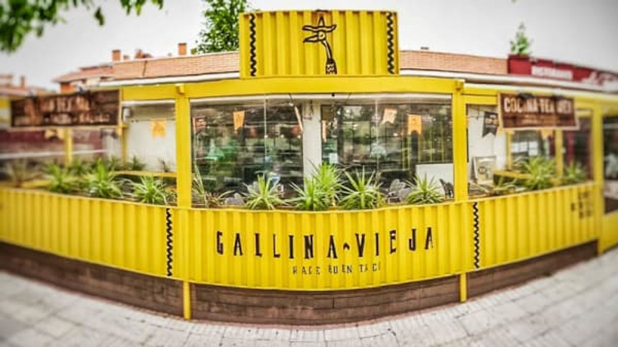 Restaurants GALLINA VIEJA