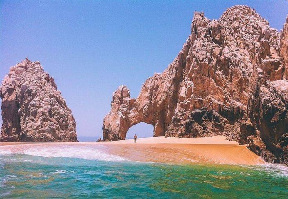 Place Los Cabos