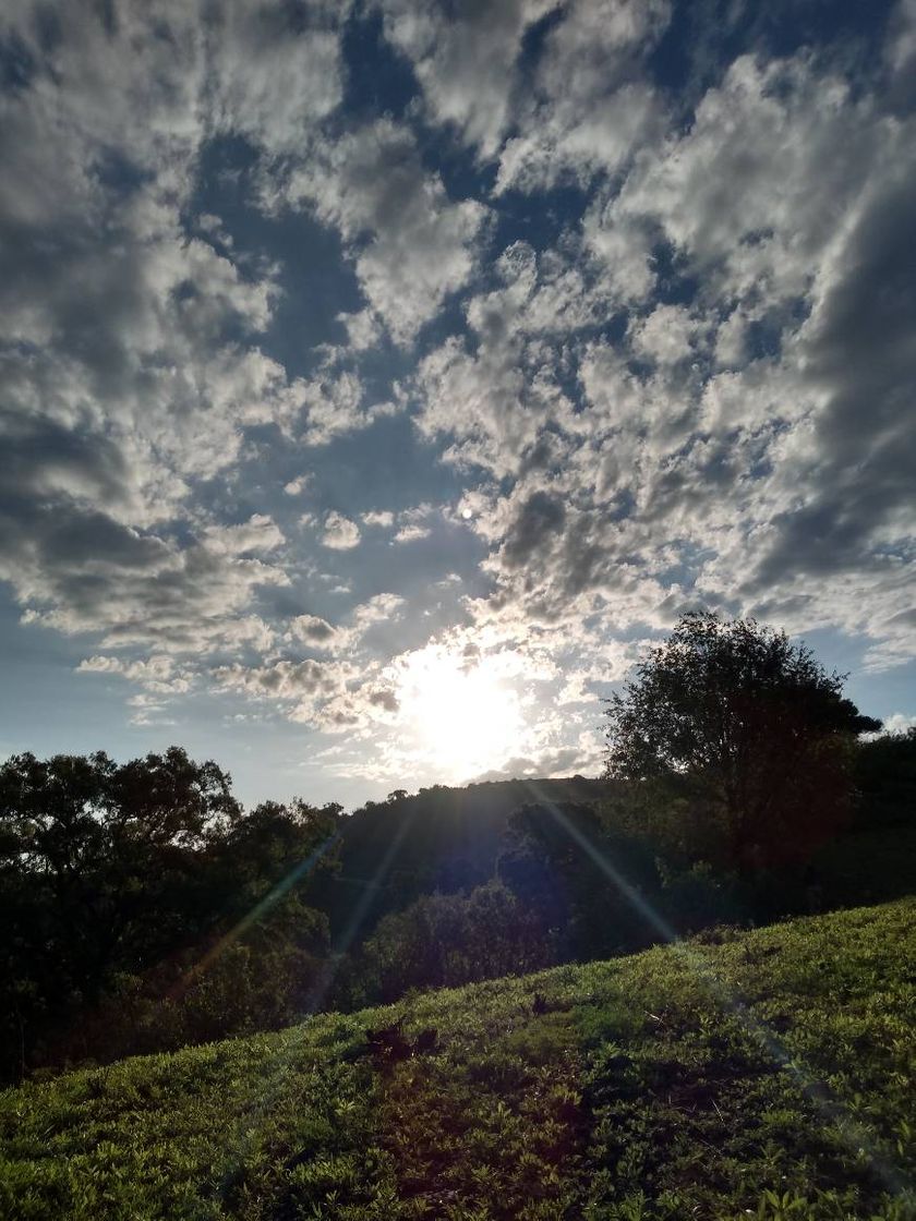 Lugar Sierra Tarahumara