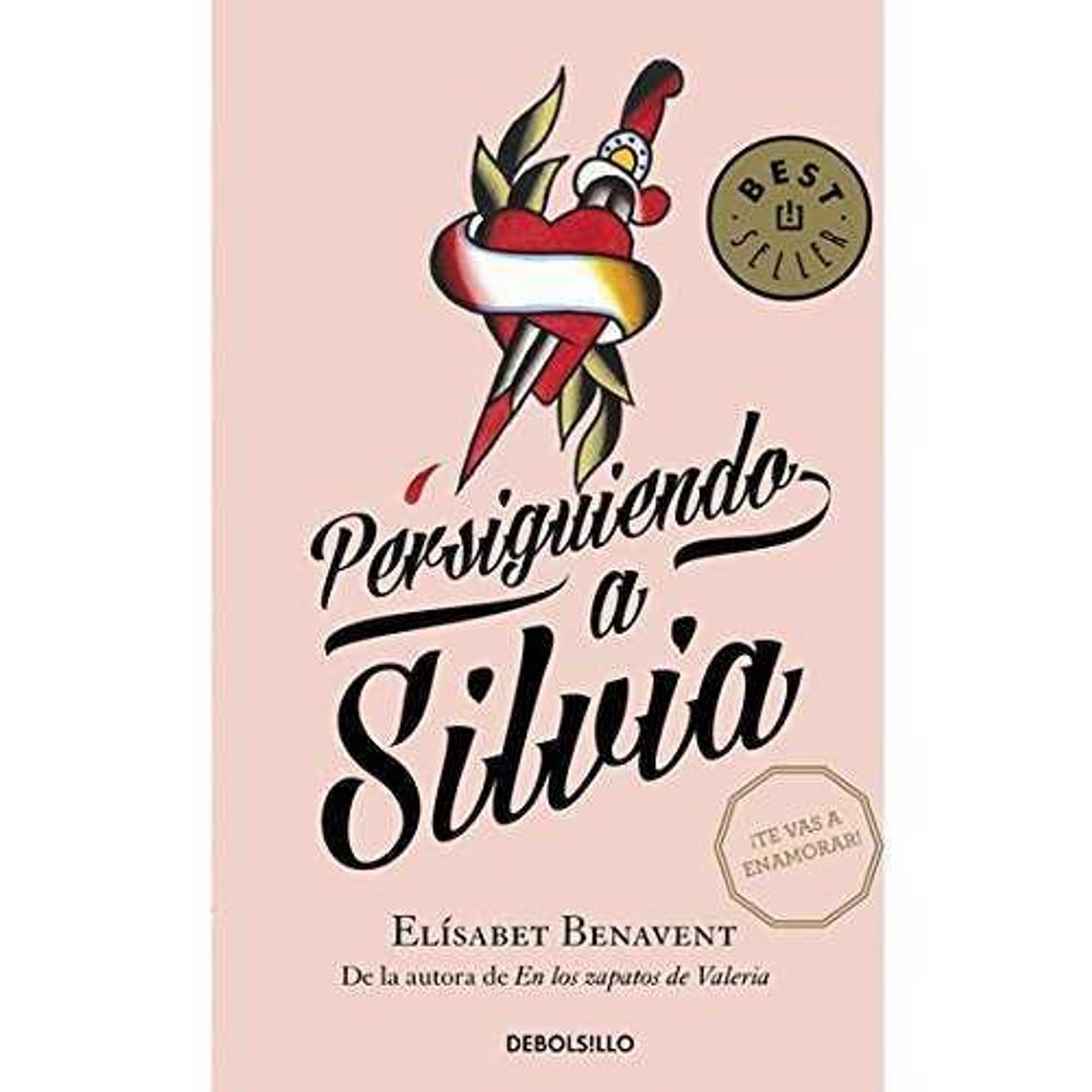 Libro Persiguiendo a Silvia