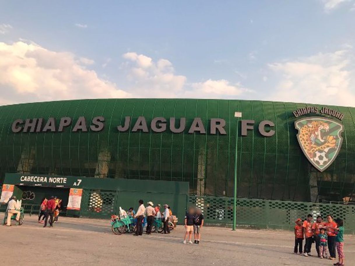 Place Estadio Víctor Manuel Reyna