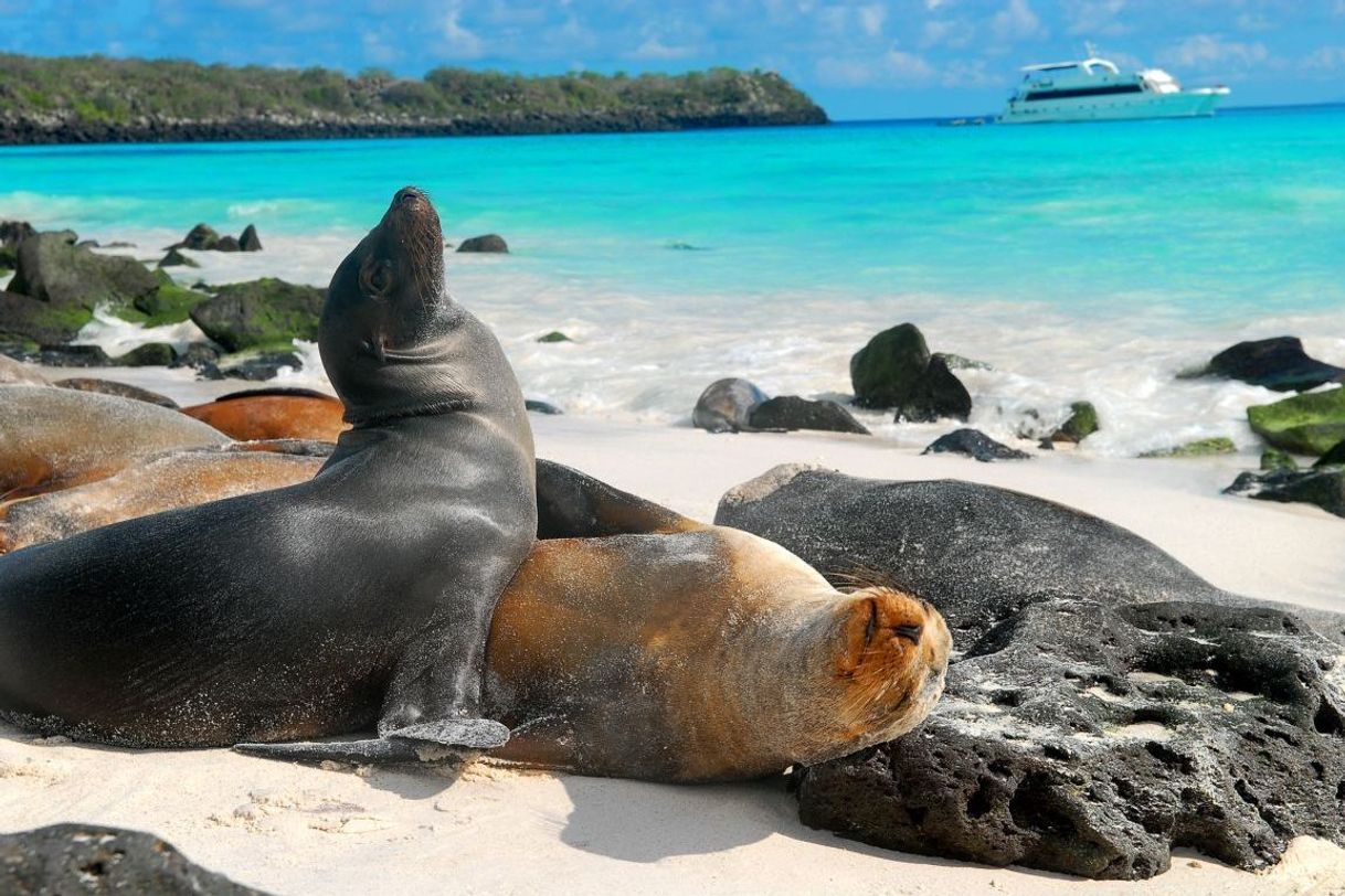 Lugar Galapagos