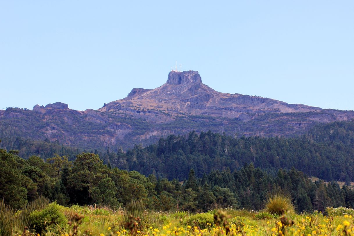 Lugar Cofre de Perote