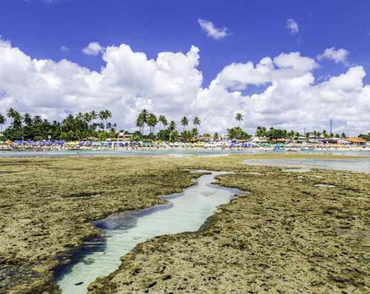 Places Pacote Porto de Galinhas - 2022 em Promoção - 5 dias | Hurb