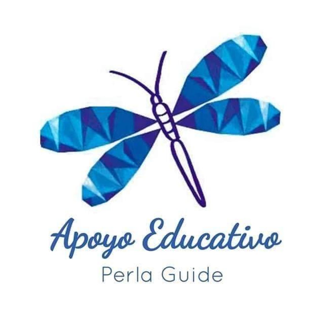 Fashion Perla Guide Apoyo Educativo - Education - 