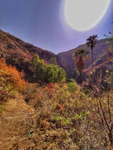 Barranco de Azuaje