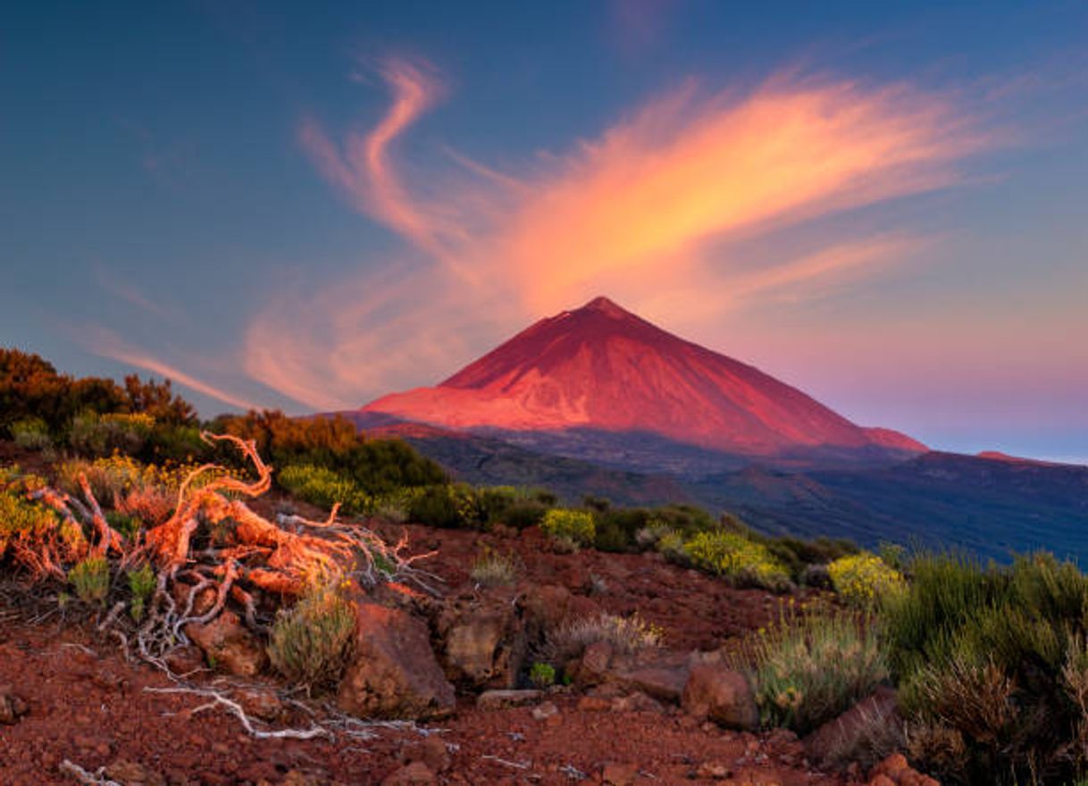 Place Pico del Teide