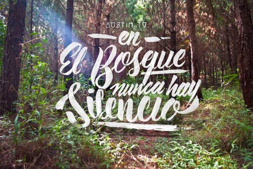 En el bosque nunca hay silencio