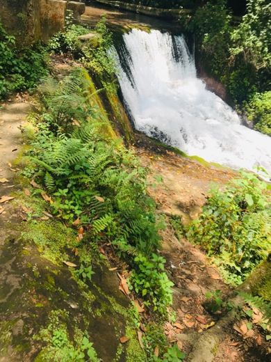 Reserva Ecologica Rio de Pancho Poza