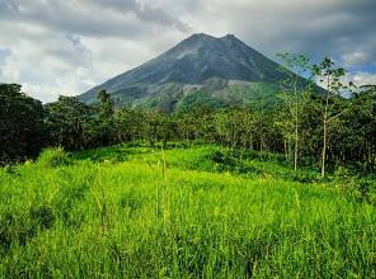 Place Parque Nacional Volcán Arenal