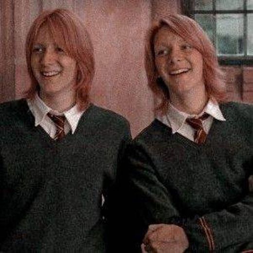 Gêmeos Weasley. 