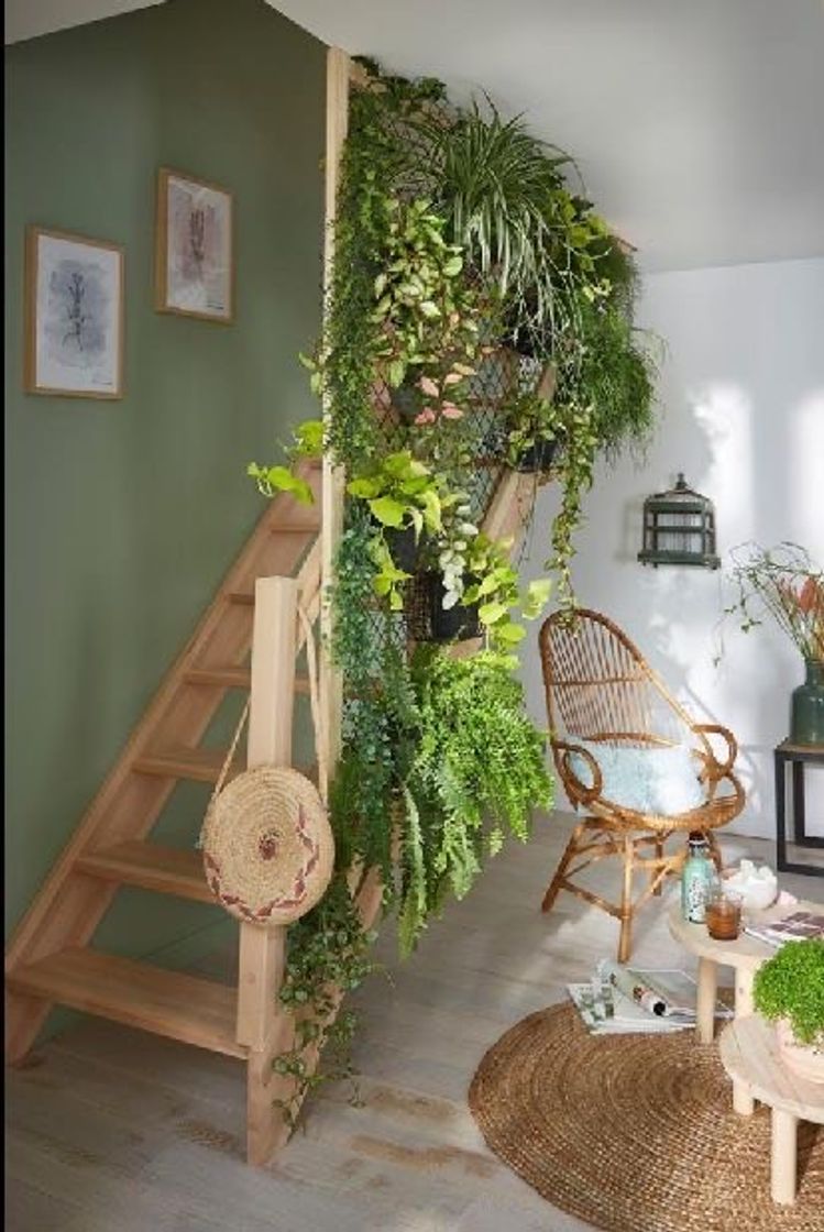 Moda Jardim vertical 🌱