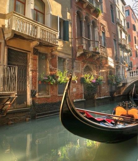 Venice, Itália 🇮🇹 
