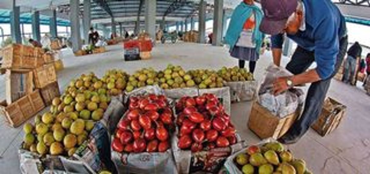 Lugar Mercado Mayorista