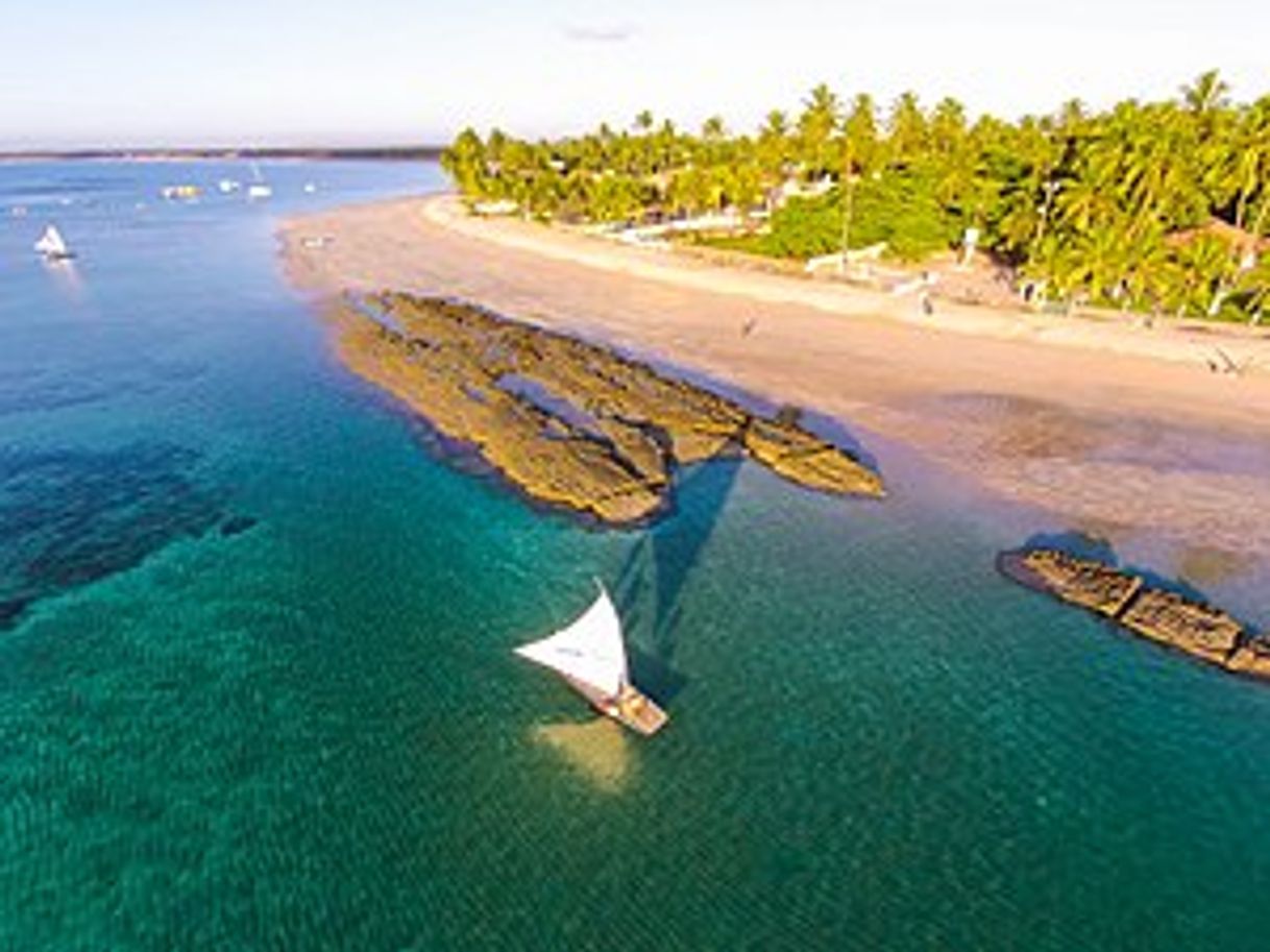 Moda Porto de galinhas 🏖🐔