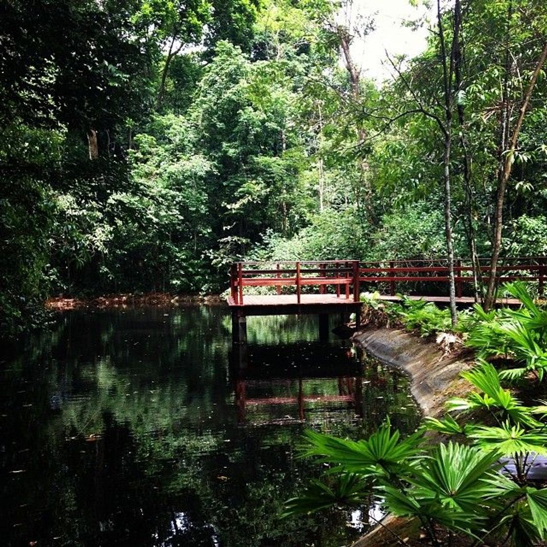 Lugar Jardim Botânico do Recife