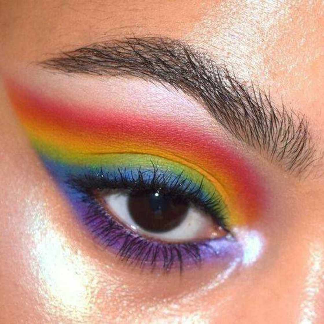 Fashion Rainbow