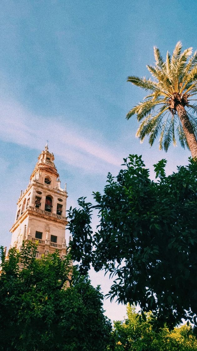 Place Mezquita-Catedral de Córdoba
