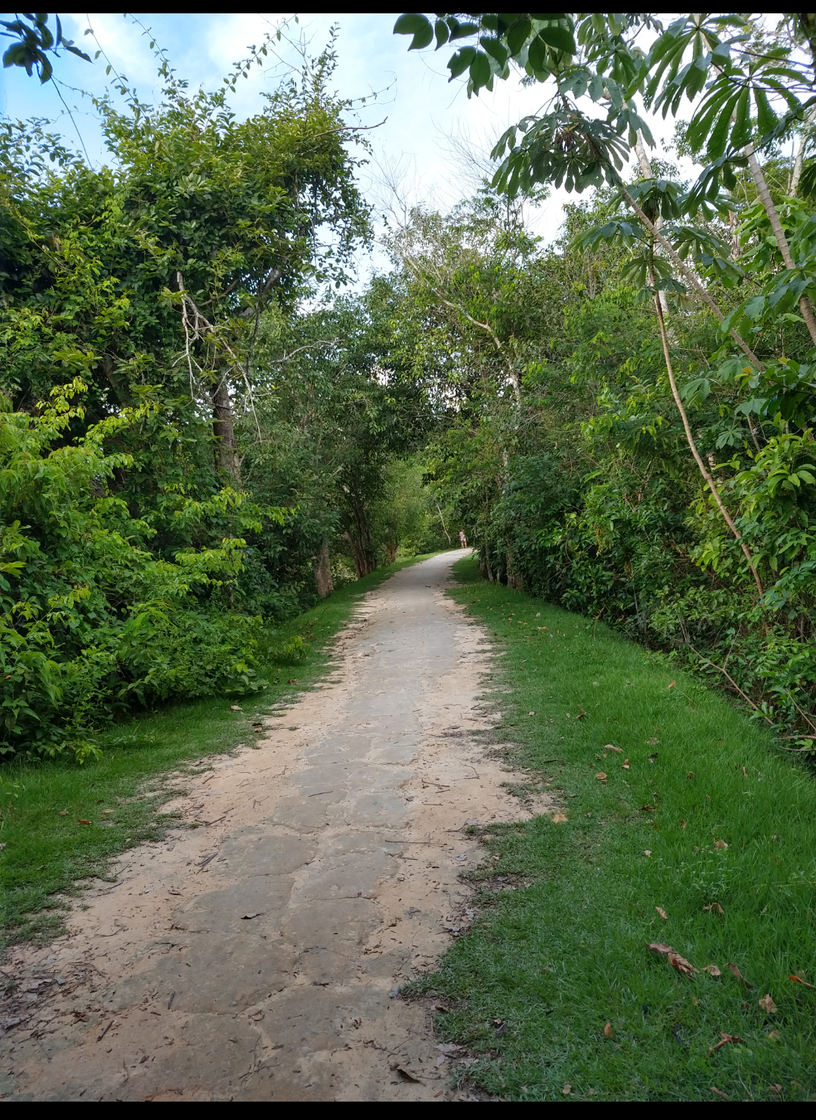 Places Parque Ecológico de Ji-Paraná