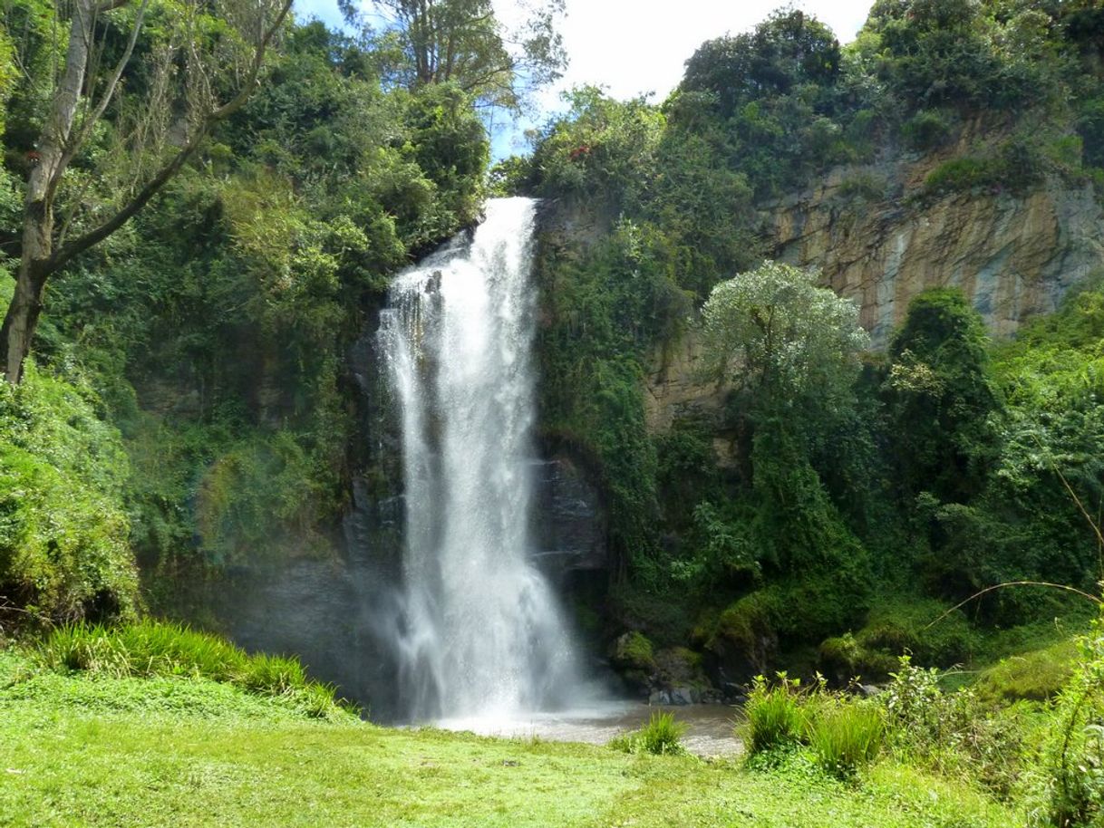 Lugar Cascada de Paluz