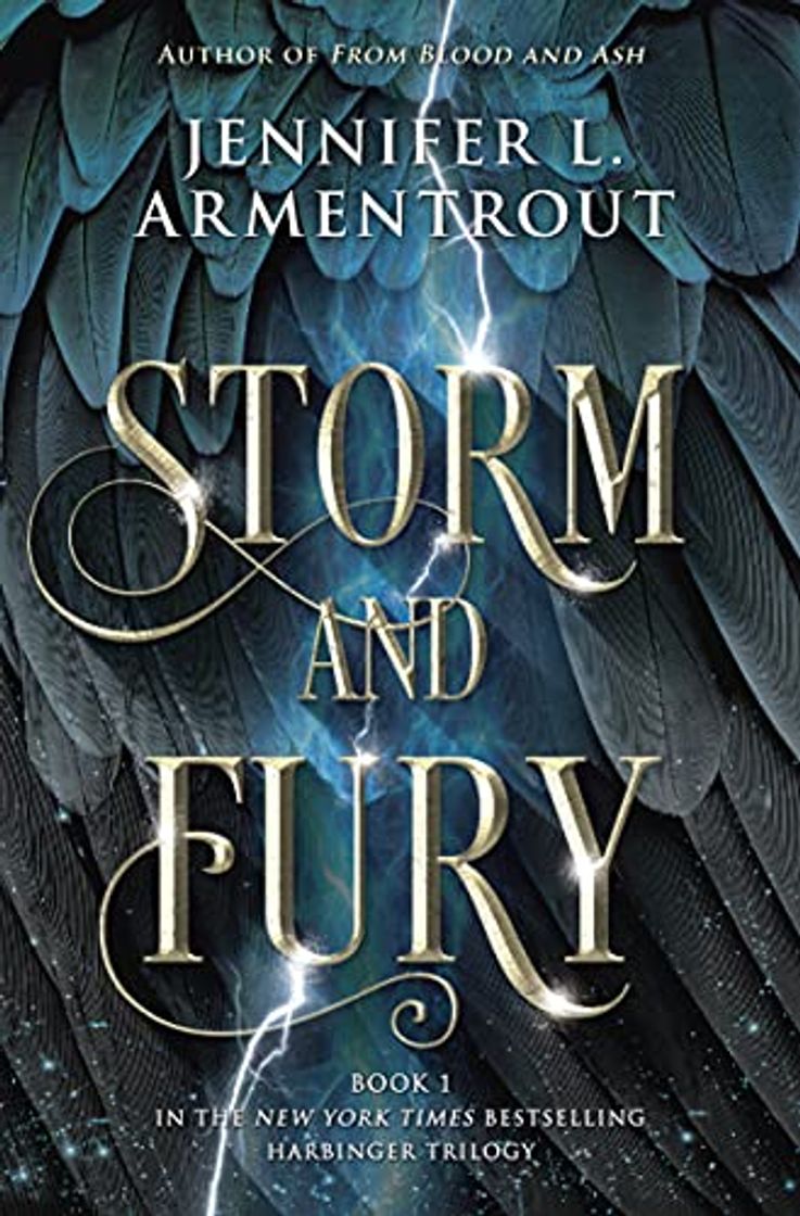 Book Storm and Fury