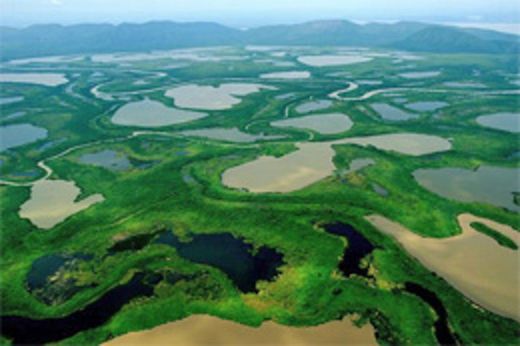 Parque Nacional do Pantanal Mato-Grossense