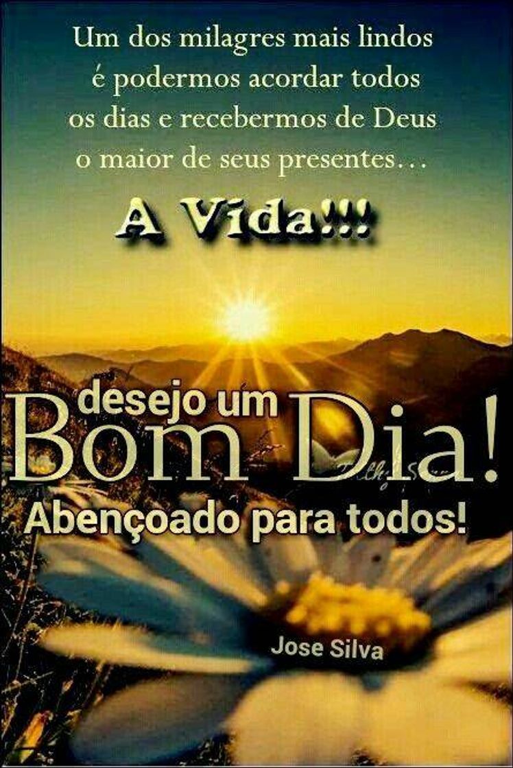 Social Segunda e lavai o meu bom dia.